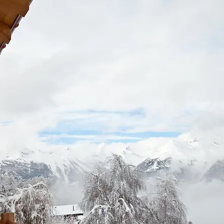 Etoiles De Montagne